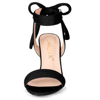 Faux Suede Open Toe Ankle Tie Back Chunky Heel Sandals