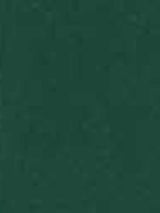 Płaszcz Damski Zimowy o Długim Kroju z Klapami | Elegancki Trencz Damski