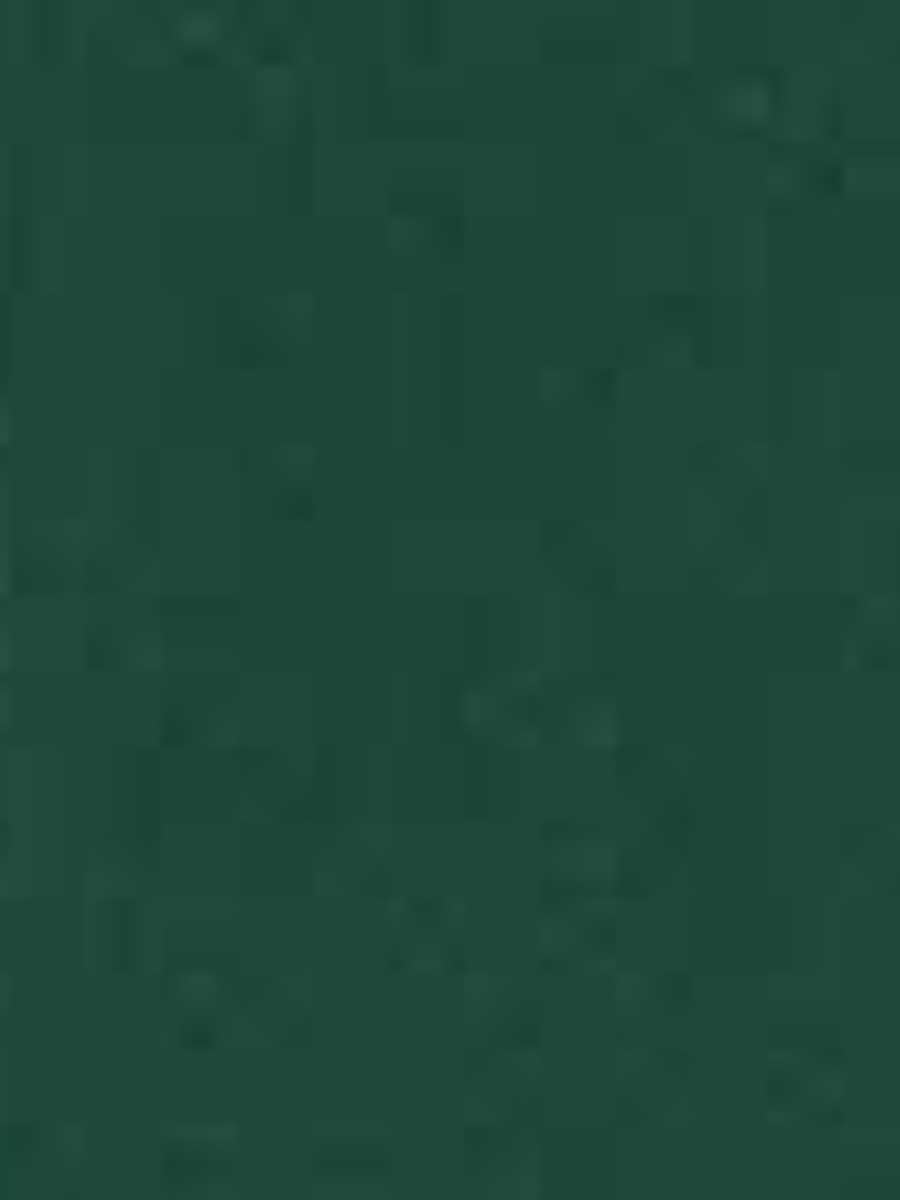 Płaszcz Damski Zimowy o Długim Kroju z Klapami | Elegancki Trencz Damski