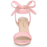 Faux Suede Open Toe Ankle Tie Back Chunky Heel Sandals