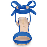 Faux Suede Open Toe Ankle Tie Back Chunky Heel Sandals