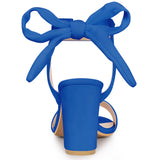 Faux Suede Open Toe Ankle Tie Back Chunky Heel Sandals