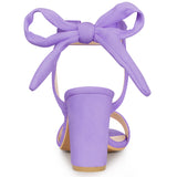 Faux Suede Open Toe Ankle Tie Back Chunky Heel Sandals