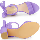 Faux Suede Open Toe Ankle Tie Back Chunky Heel Sandals